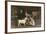 Feeding The Calves-Joseph Denovan Adam-Framed Giclee Print