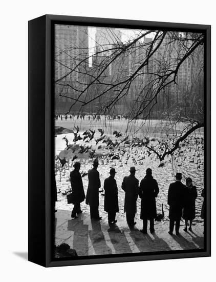 Feeding the Ducks and Swans in Central Park on a Sunday Afternoon-Andreas Feininger-Framed Premier Image Canvas
