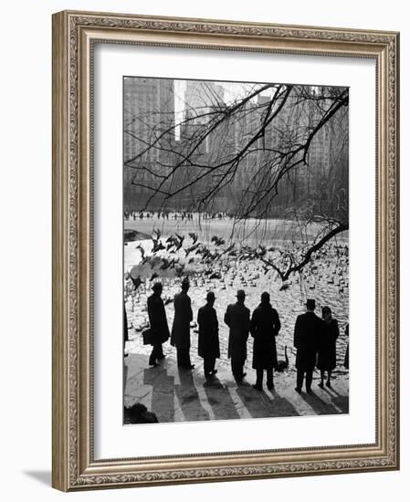 Feeding the Ducks and Swans in Central Park on a Sunday Afternoon-Andreas Feininger-Framed Photographic Print