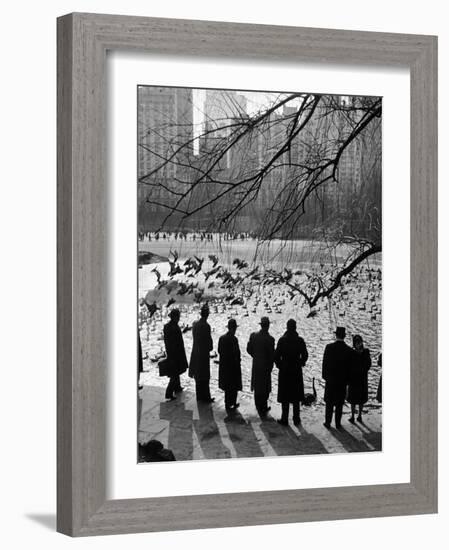 Feeding the Ducks and Swans in Central Park on a Sunday Afternoon-Andreas Feininger-Framed Photographic Print