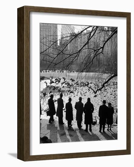 Feeding the Ducks and Swans in Central Park on a Sunday Afternoon-Andreas Feininger-Framed Photographic Print