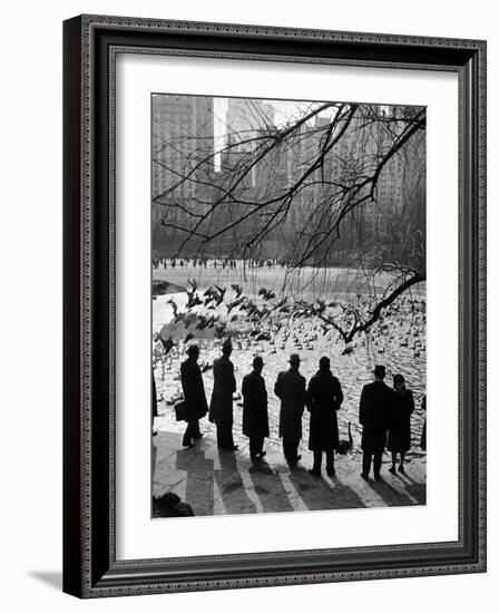Feeding the Ducks and Swans in Central Park on a Sunday Afternoon-Andreas Feininger-Framed Photographic Print