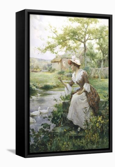 Feeding the Ducks-Alfred Augustus Glendenning-Framed Premier Image Canvas