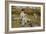 Feeding the Ducks-Edward Killingworth Johnson-Framed Giclee Print