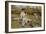 Feeding the Ducks-Edward Killingworth Johnson-Framed Giclee Print