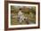 Feeding the Ducks-Edward Killingworth Johnson-Framed Giclee Print