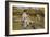 Feeding the Ducks-Edward Killingworth Johnson-Framed Giclee Print