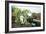 Feeding the Ducks-Henry John Yeend King-Framed Giclee Print