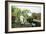 Feeding the Ducks-Henry John Yeend King-Framed Giclee Print