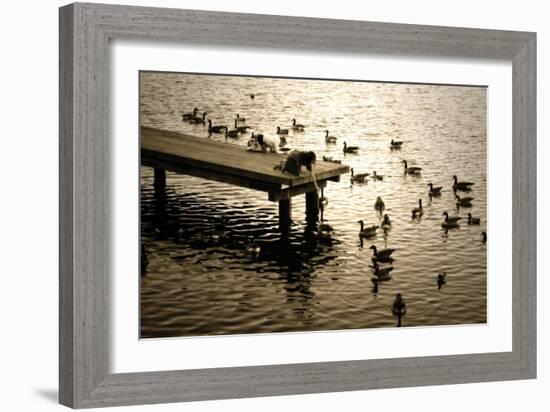 Feeding the Geese II-Alan Hausenflock-Framed Photographic Print