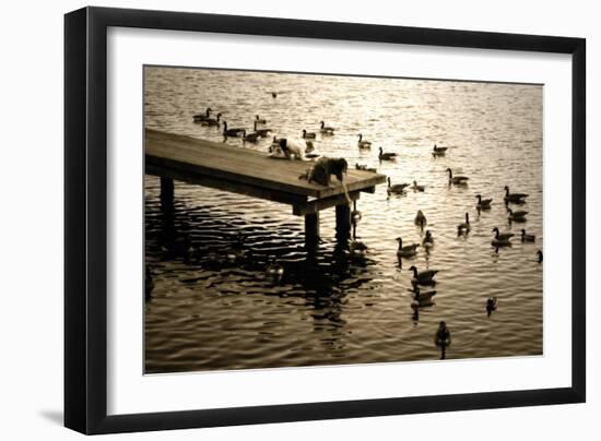 Feeding the Geese II-Alan Hausenflock-Framed Photographic Print