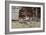 Feeding the Pigeons, St. Mark's Square, Venice-Lieven Herremans-Framed Giclee Print