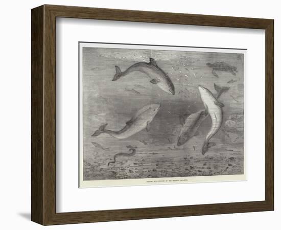 Feeding the Porpoises at the Brighton Aquarium-Samuel Read-Framed Giclee Print