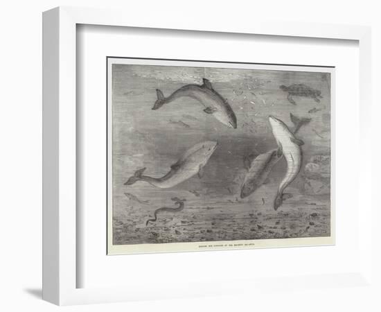 Feeding the Porpoises at the Brighton Aquarium-Samuel Read-Framed Giclee Print