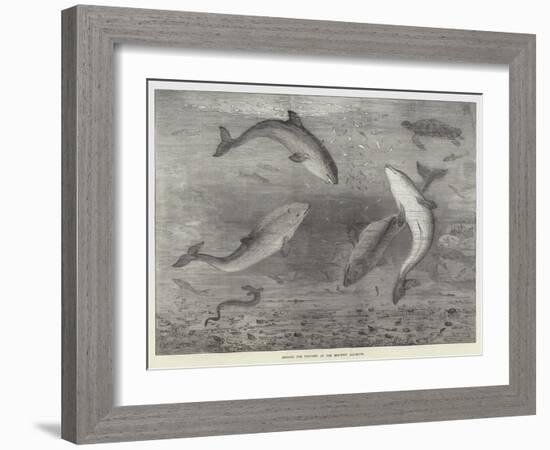 Feeding the Porpoises at the Brighton Aquarium-Samuel Read-Framed Giclee Print