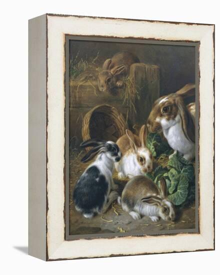 Feeding Time-Alfred Barber-Framed Premier Image Canvas