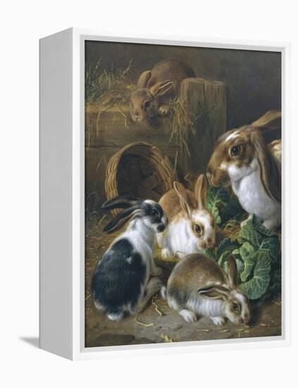 Feeding Time-Alfred Barber-Framed Premier Image Canvas