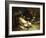 Feeding Time-Ignace Spiridon-Framed Giclee Print