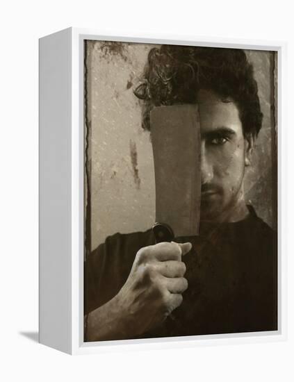 Feedzoom-Fabio Panichi-Framed Premier Image Canvas