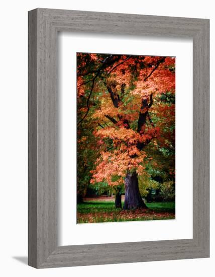 Feel Inside-Philippe Sainte-Laudy-Framed Photographic Print