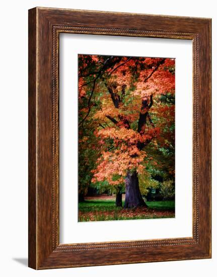 Feel Inside-Philippe Sainte-Laudy-Framed Photographic Print