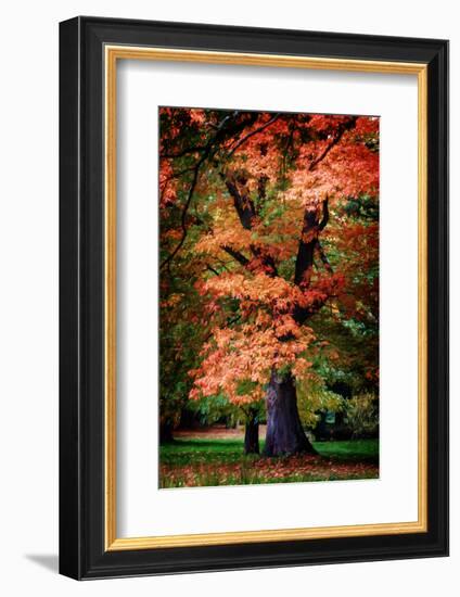 Feel Inside-Philippe Sainte-Laudy-Framed Photographic Print