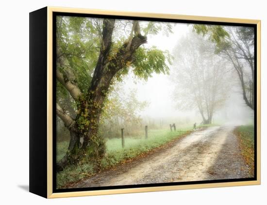 Feel the Silence-Danny Head-Framed Premier Image Canvas