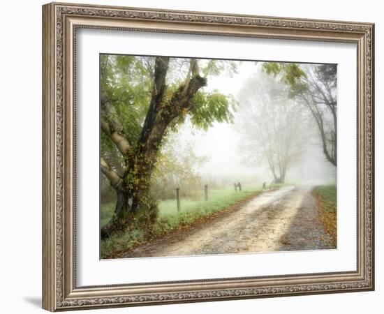 Feel the Silence-Danny Head-Framed Photographic Print