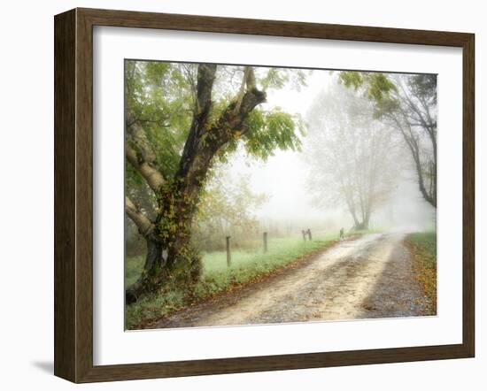 Feel the Silence-Danny Head-Framed Photographic Print