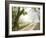 Feel the Silence-Danny Head-Framed Photographic Print