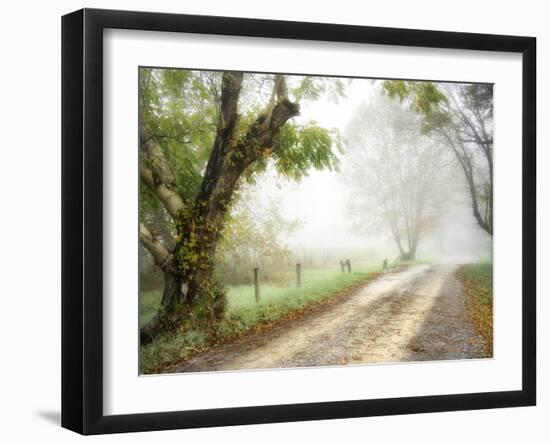 Feel the Silence-Danny Head-Framed Photographic Print