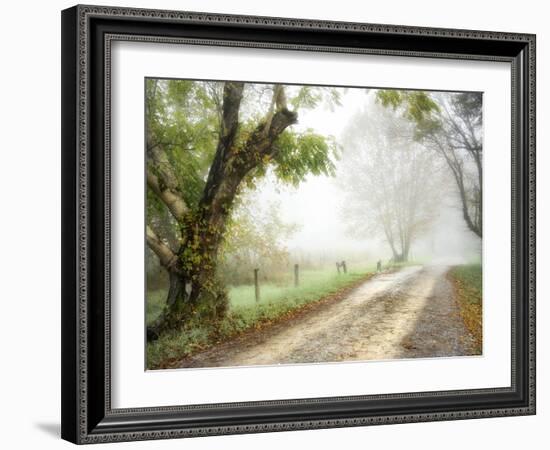 Feel the Silence-Danny Head-Framed Photographic Print