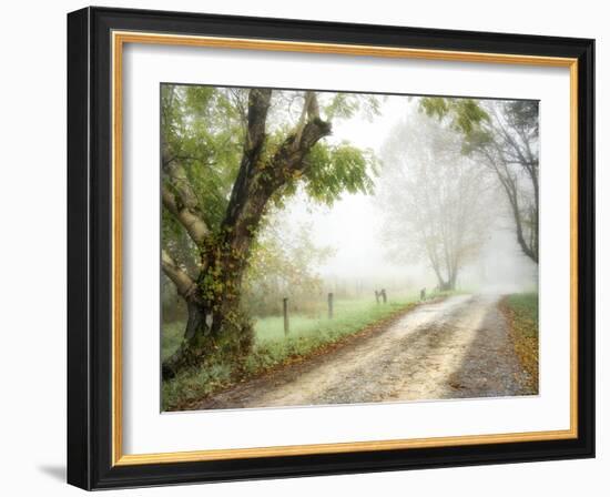 Feel the Silence-Danny Head-Framed Photographic Print