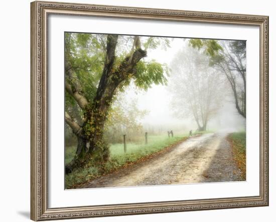 Feel the Silence-Danny Head-Framed Photographic Print