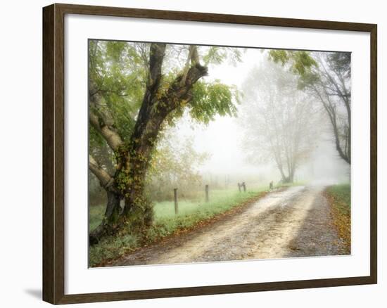 Feel the Silence-Danny Head-Framed Photographic Print