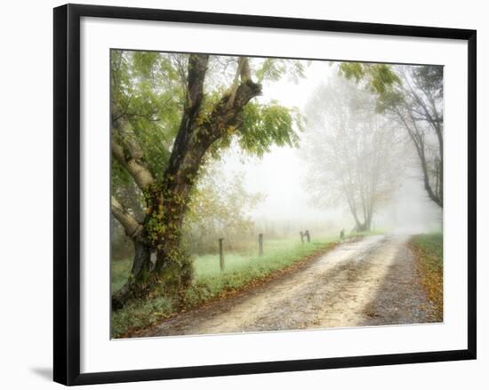 Feel the Silence-Danny Head-Framed Photographic Print