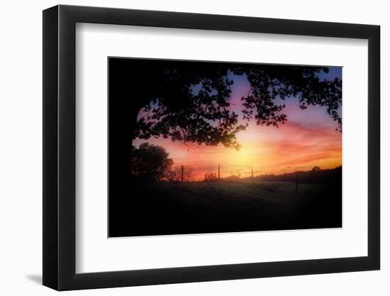 Feel the Sun-Philippe Sainte-Laudy-Framed Photographic Print