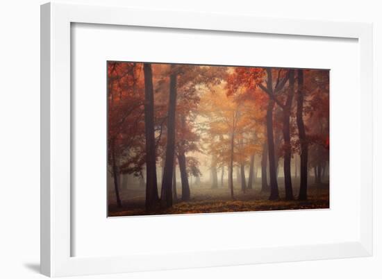 Feel-Ildiko Neer-Framed Giclee Print