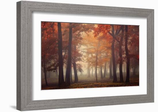 Feel-Ildiko Neer-Framed Giclee Print