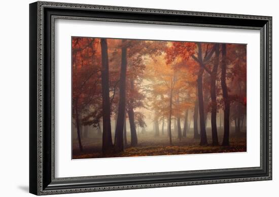 Feel-Ildiko Neer-Framed Giclee Print