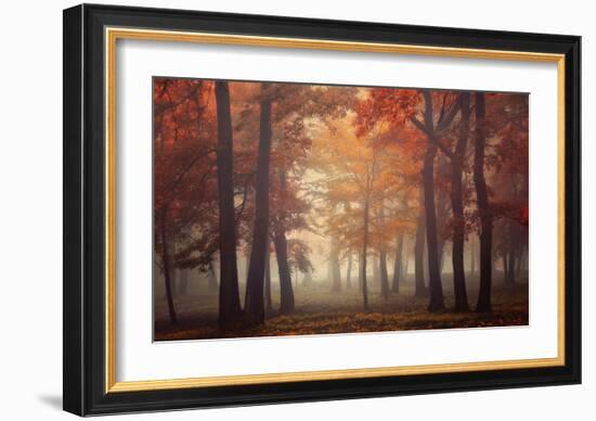 Feel-Ildiko Neer-Framed Giclee Print