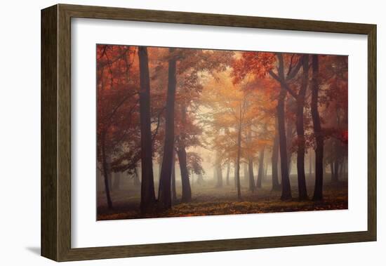 Feel-Ildiko Neer-Framed Giclee Print