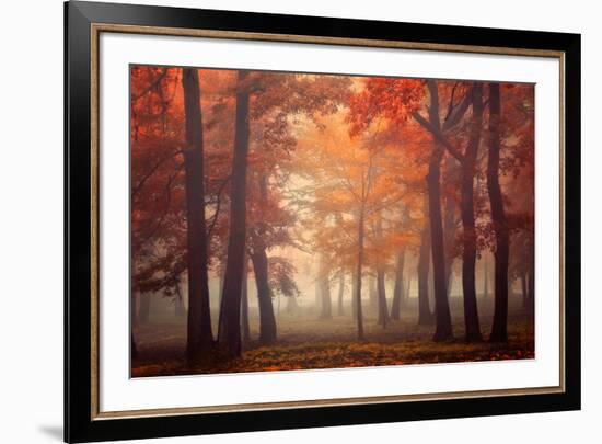 Feel-Ildiko Neer-Framed Photographic Print