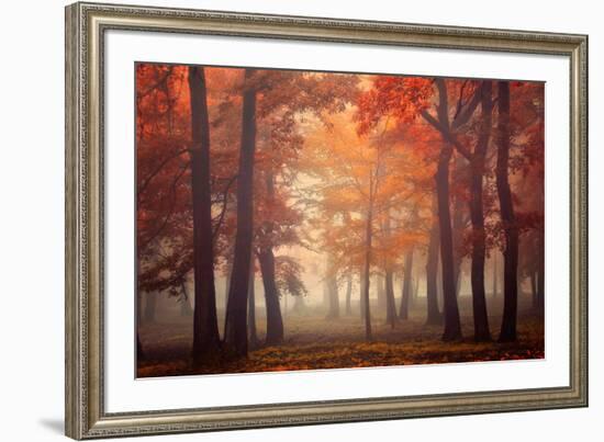 Feel-Ildiko Neer-Framed Photographic Print