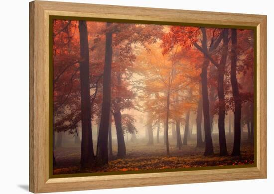 Feel-Ildiko Neer-Framed Premier Image Canvas