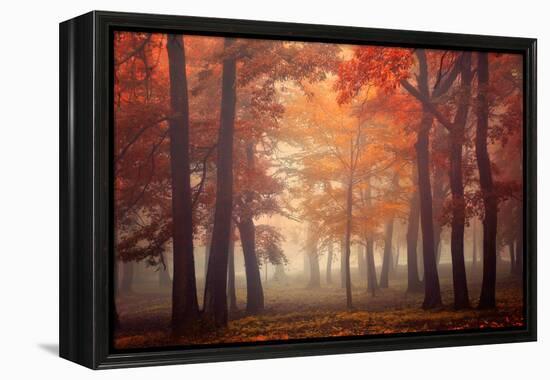 Feel-Ildiko Neer-Framed Premier Image Canvas