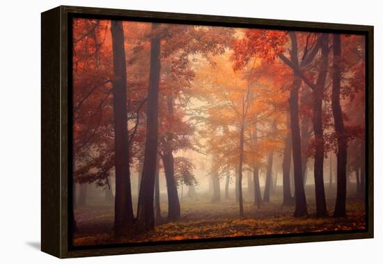 Feel-Ildiko Neer-Framed Premier Image Canvas