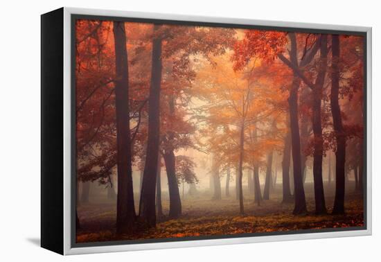 Feel-Ildiko Neer-Framed Premier Image Canvas