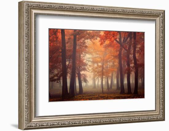 Feel-Ildiko Neer-Framed Photographic Print