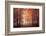 Feel-Ildiko Neer-Framed Photographic Print